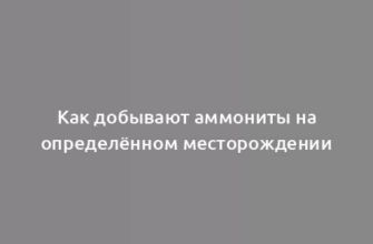 Как добывают аммониты на определённом месторождении