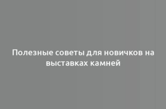 Полезные советы для новичков на выставках камней