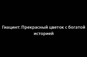 Гиацинт: Прекрасный цветок с богатой историей